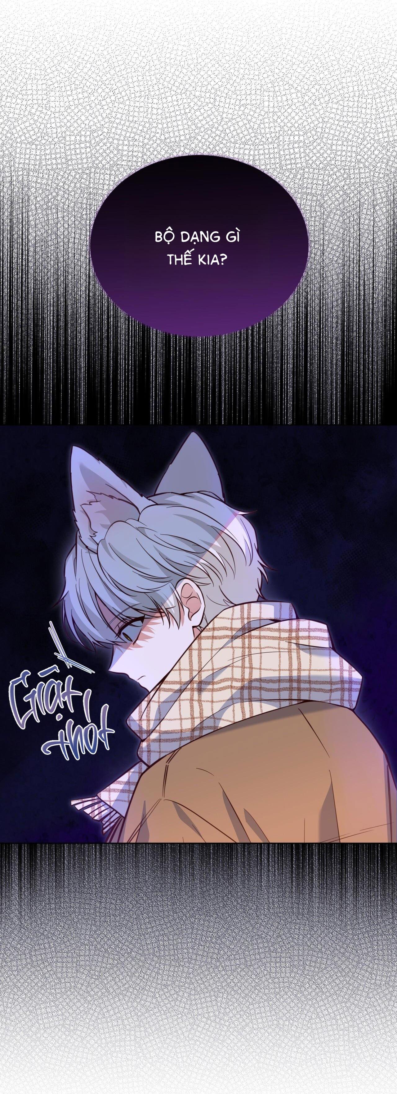 |DROP| Tiệm đồ uống của cáo Flynn - Chap 0