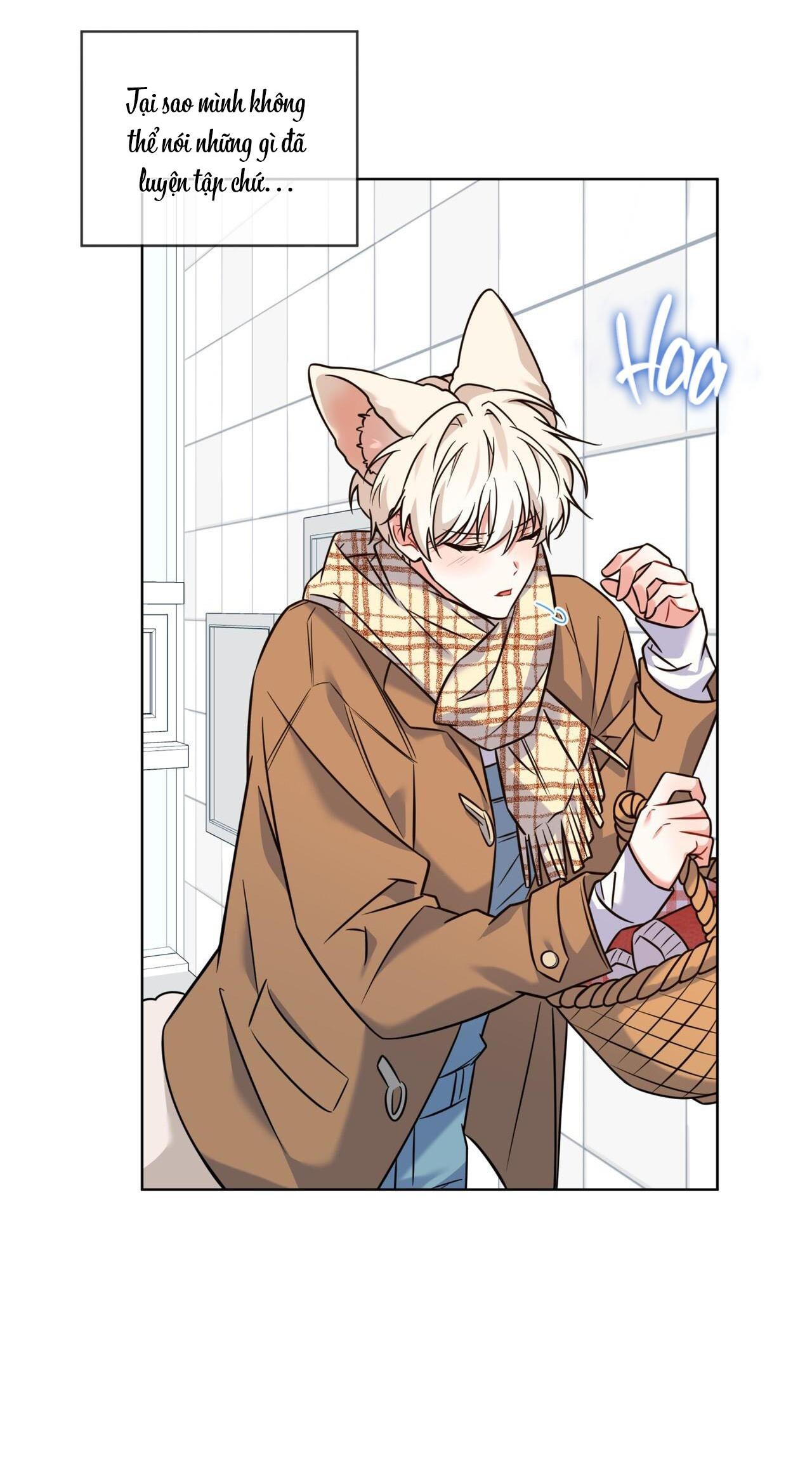 |DROP| Tiệm đồ uống của cáo Flynn - Chap 12