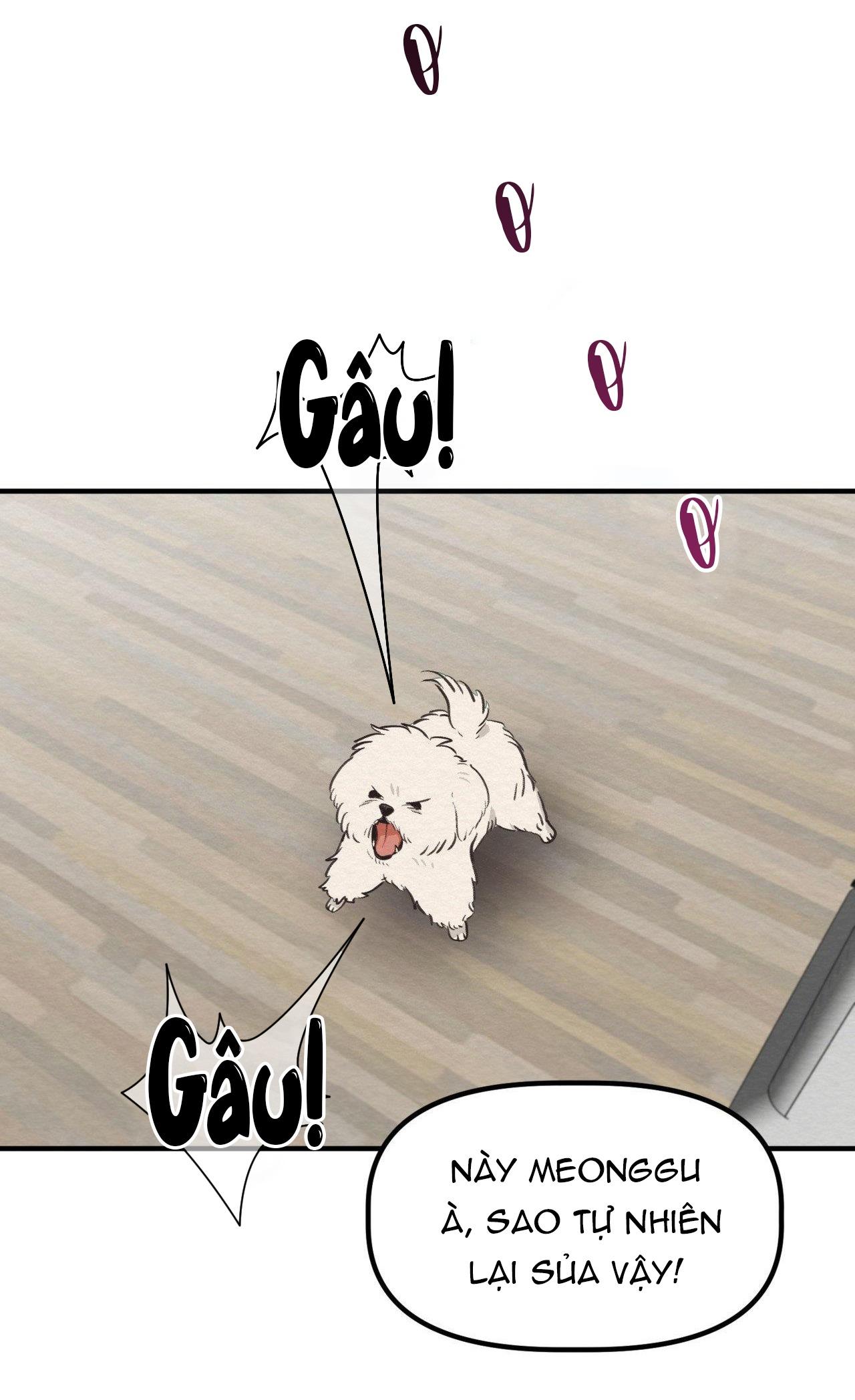 ÁC MA ĐỈNH CẤP - Chap 12