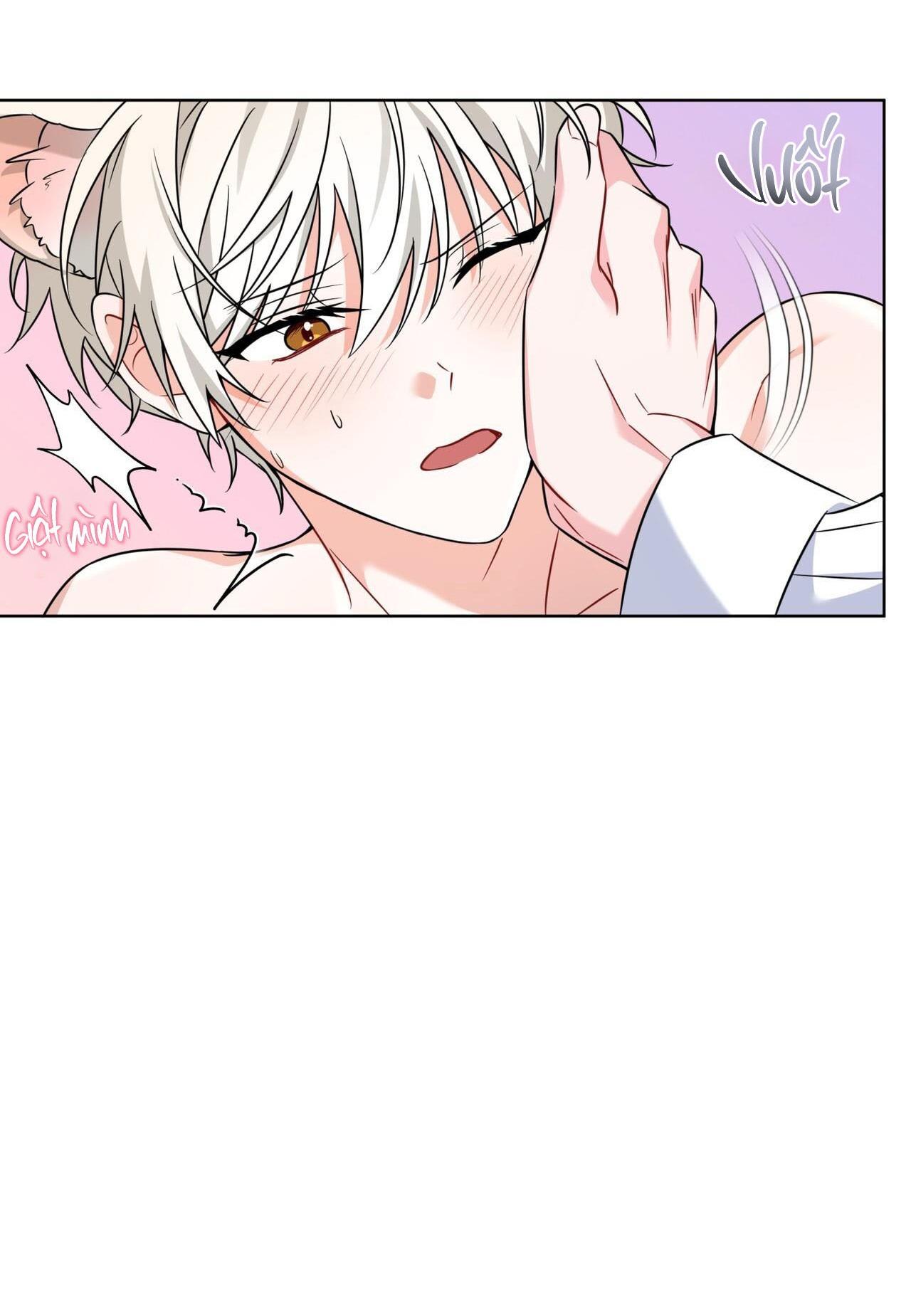 |DROP| Tiệm đồ uống của cáo Flynn - Chap 8