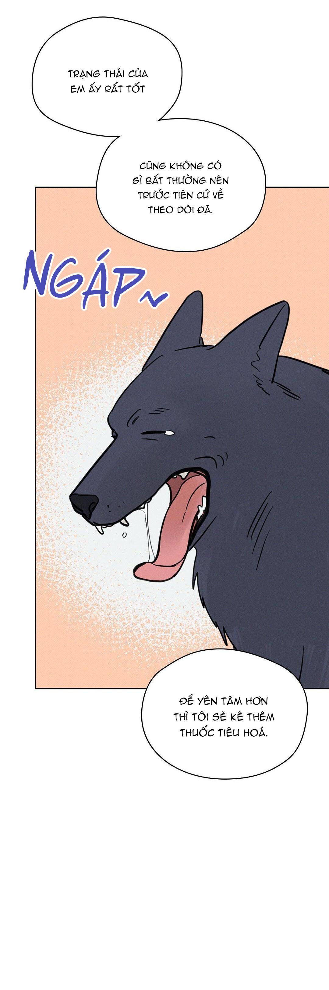 KHI TRĂNG TRÒN MỌC - Chap 6