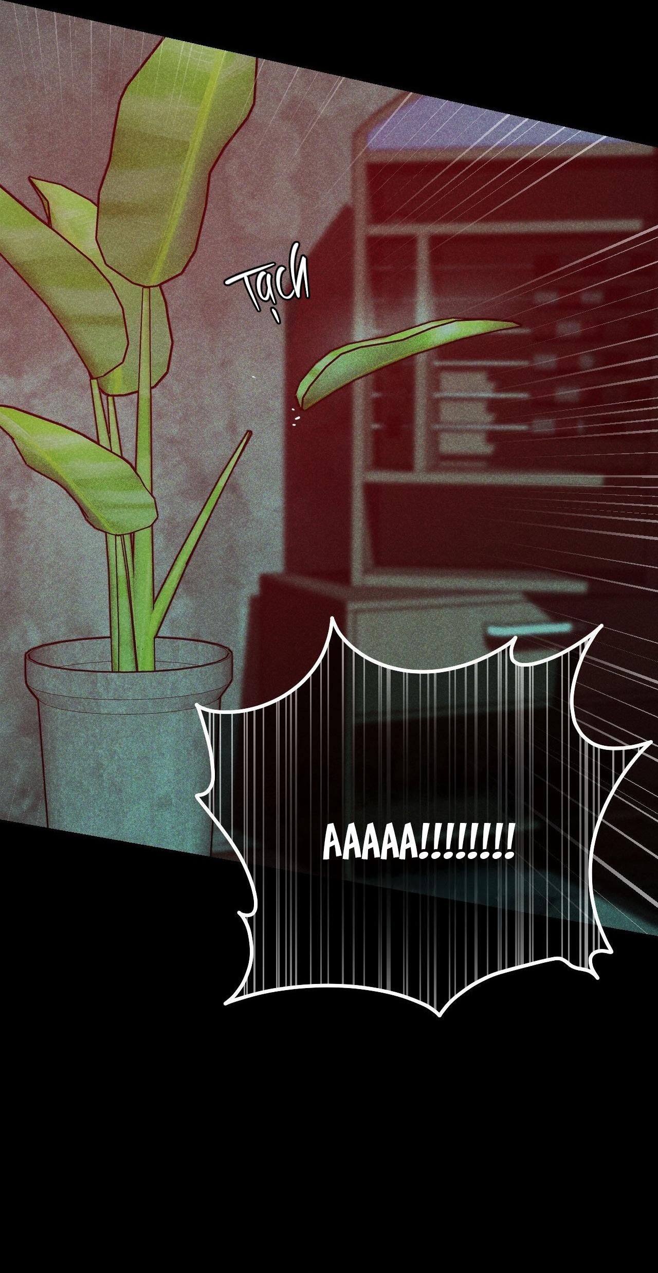 PEARL BOY: IGNITE THE DAWN - Chap 1