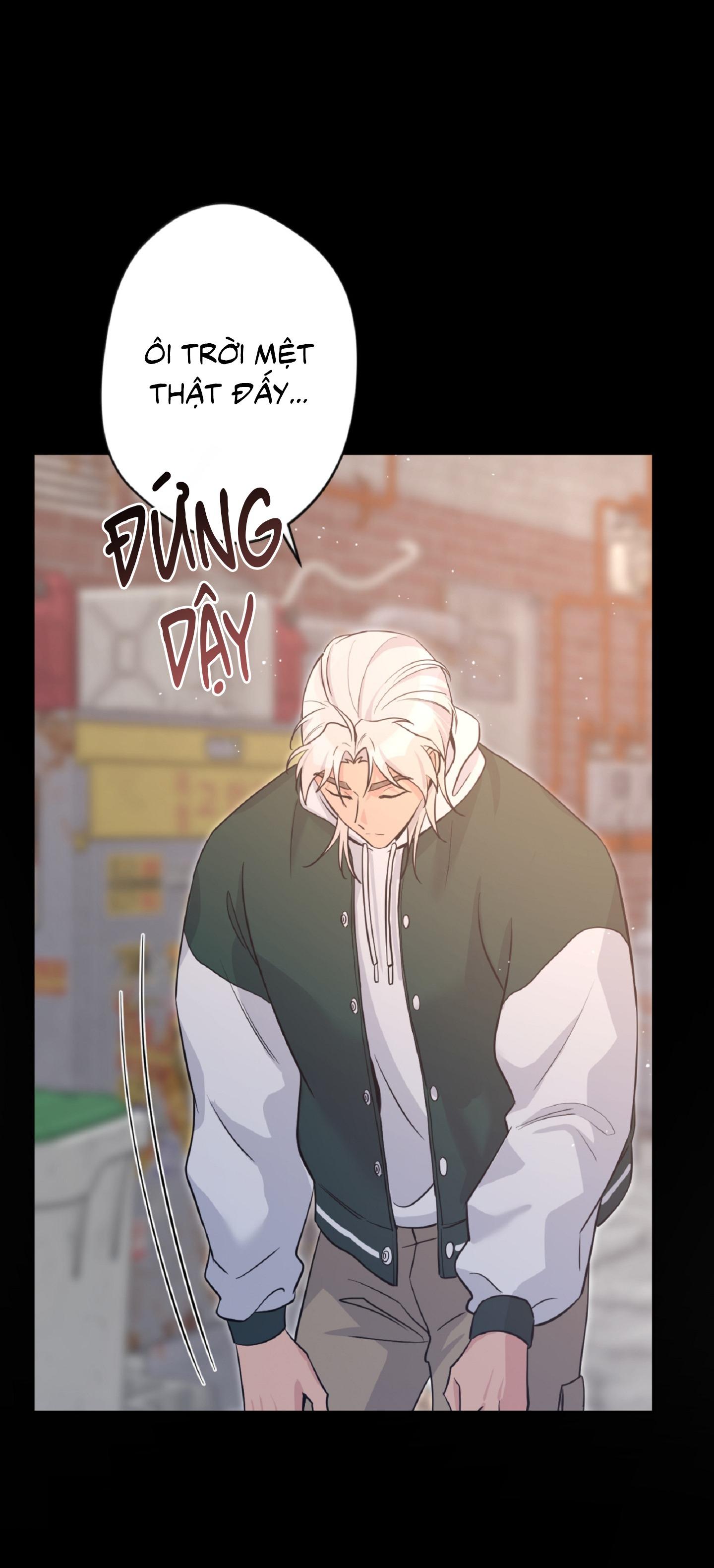 Angel kiss - Chap 15