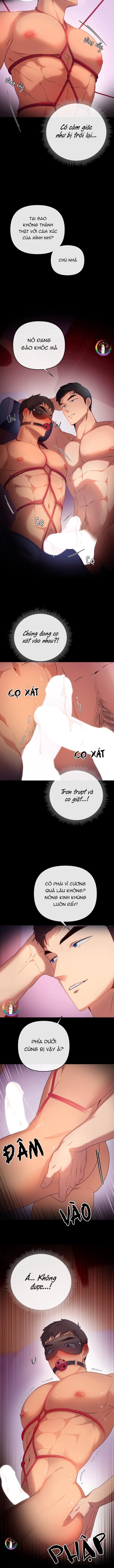 Quay GV thôi! - Chap 2