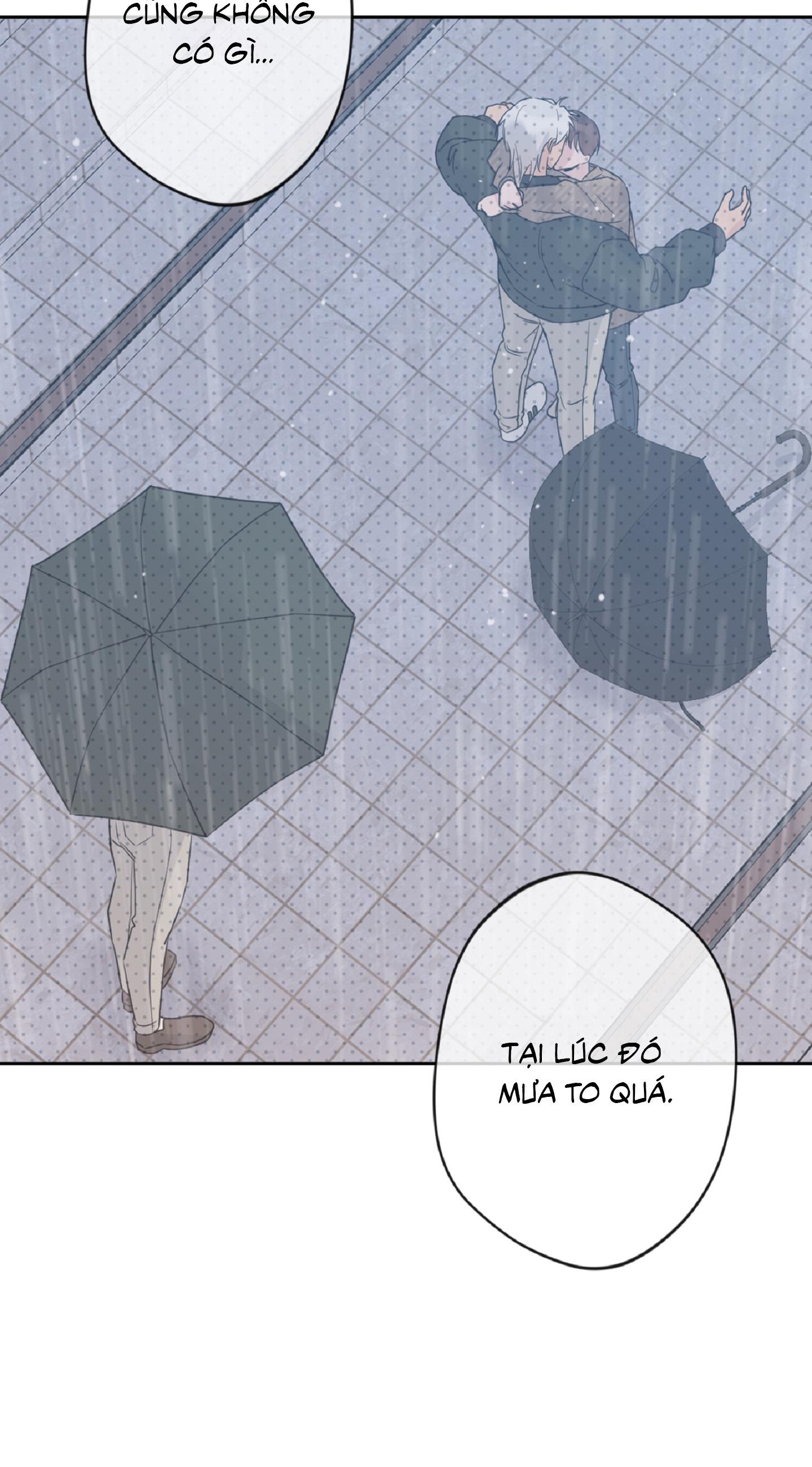 Angel kiss - Chap 19