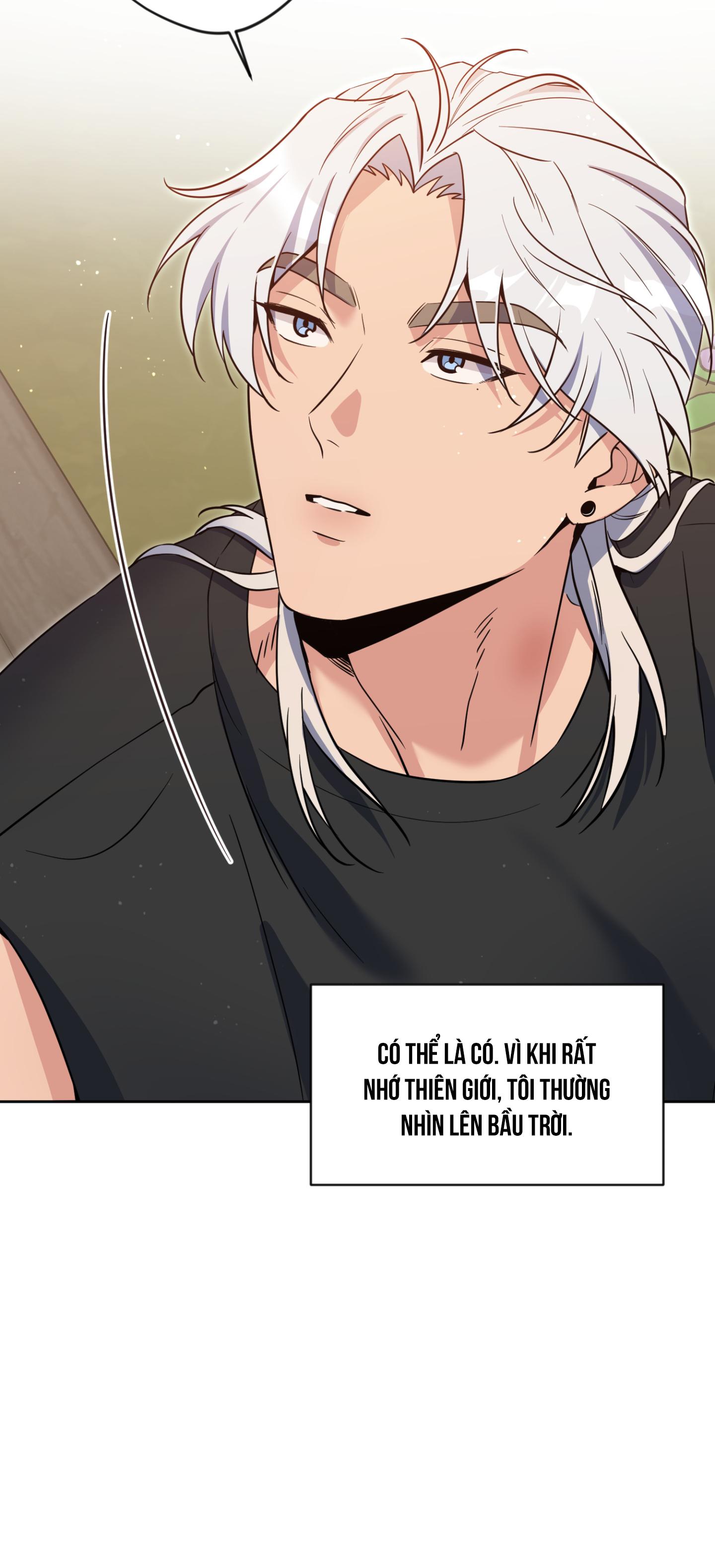 Angel kiss - Chap 49