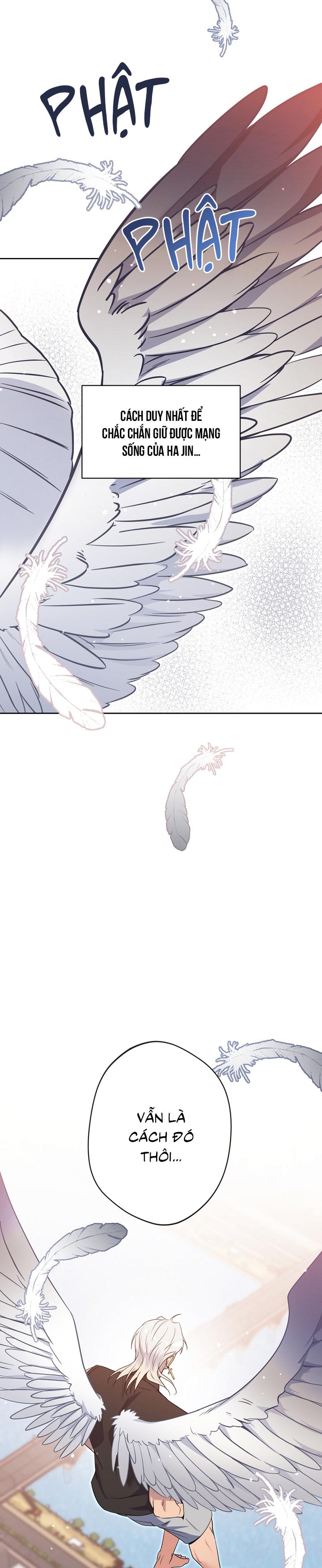 Angel kiss - Chap 45