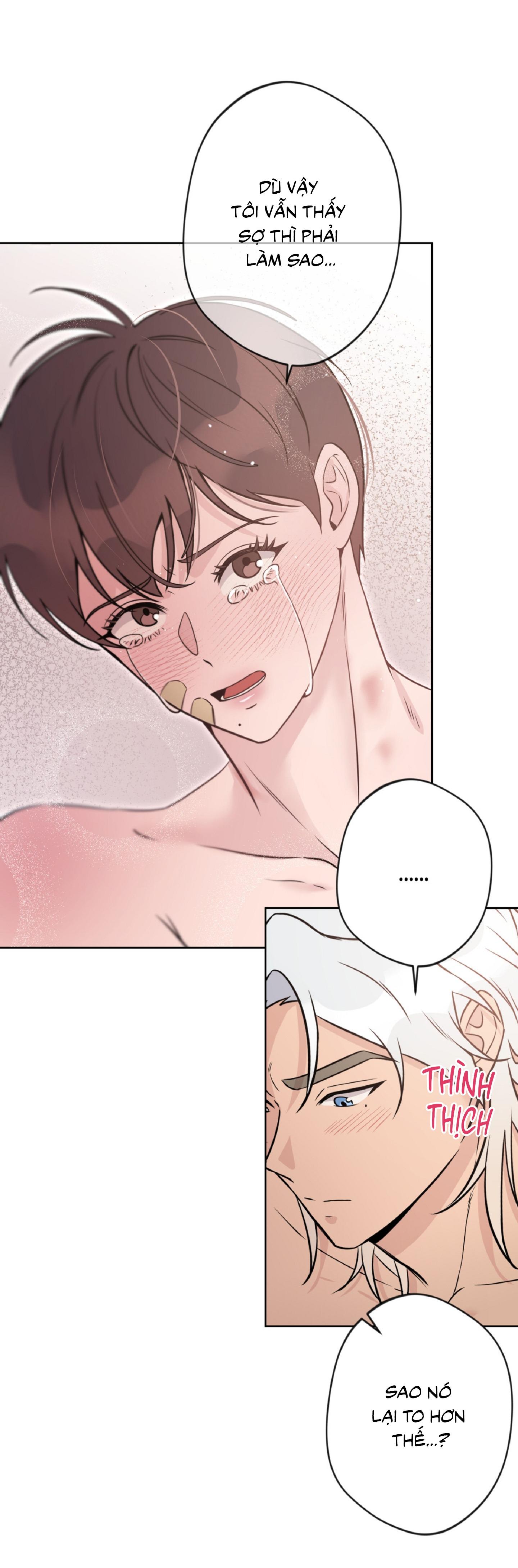 Angel kiss - Chap 7