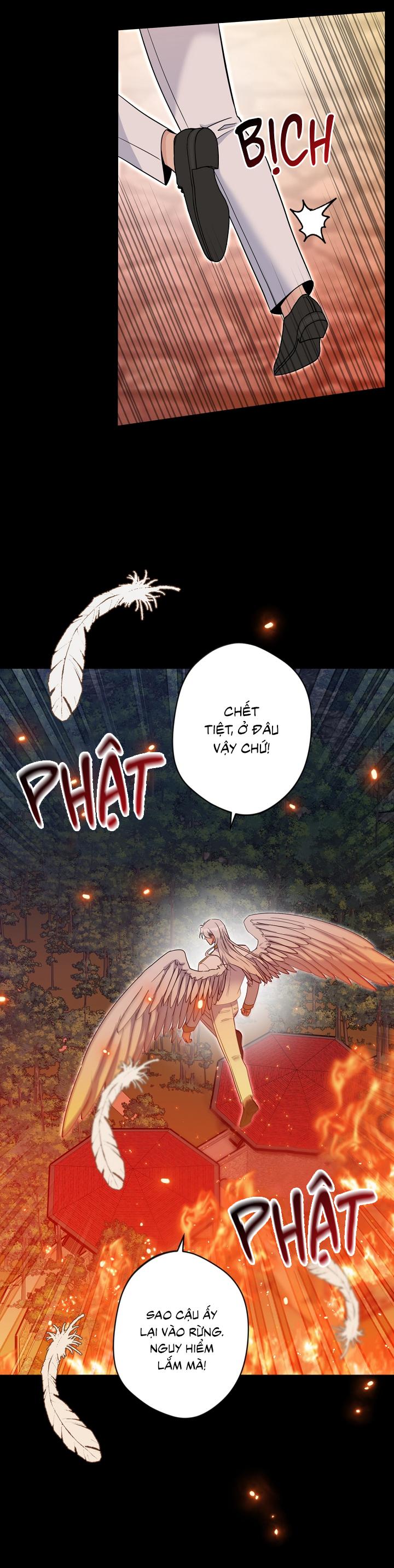 Angel kiss - Chap 42