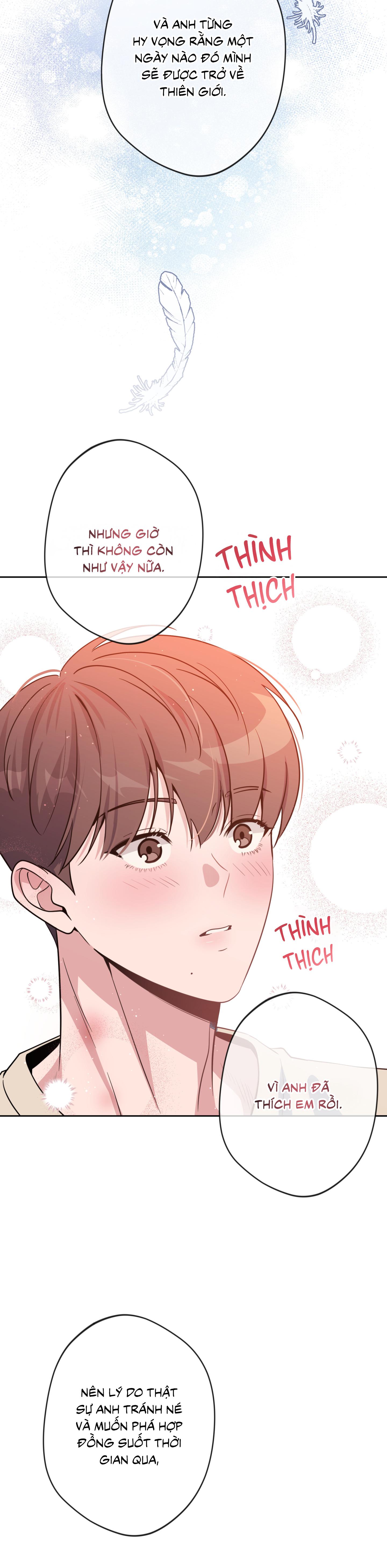 Angel kiss - Chap 49