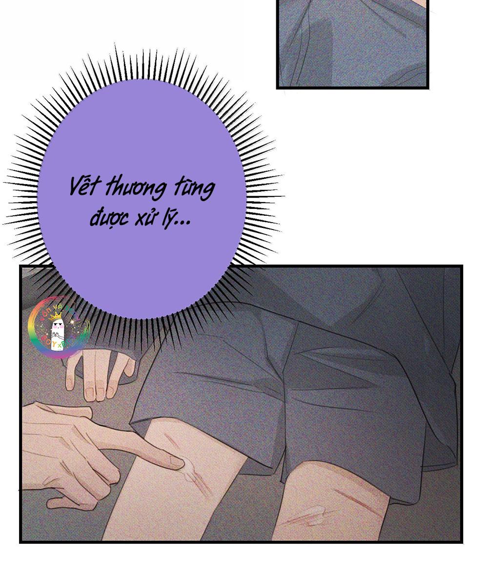 Chiến Lược Dụ Dỗ - Chap 37