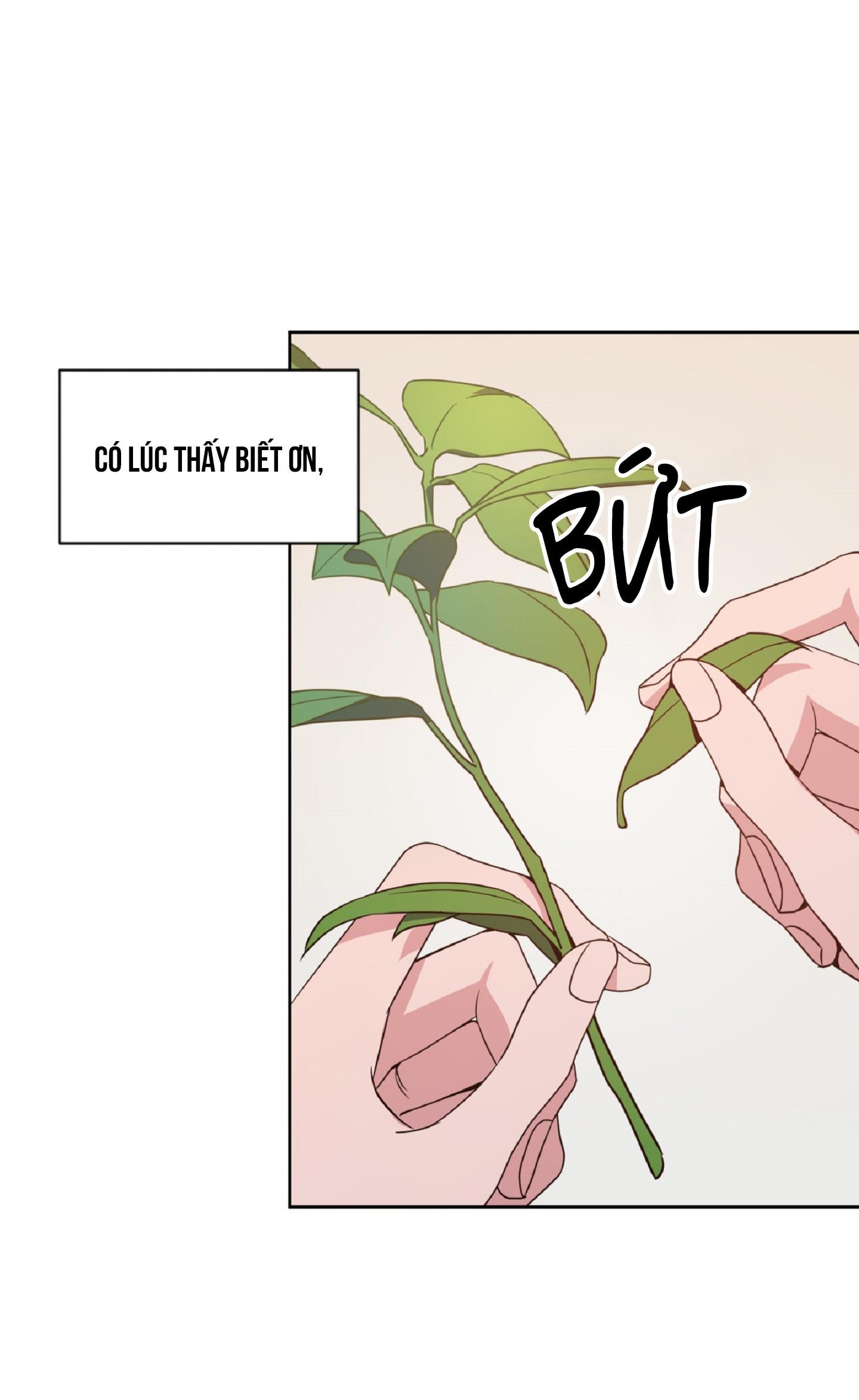 Angel kiss - Chap 26