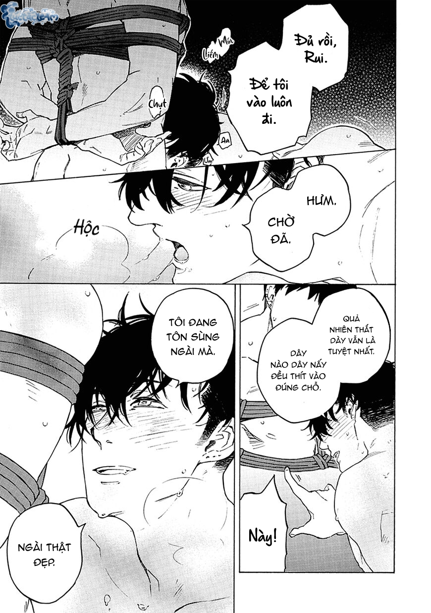 Nghệ Thuật Trói Buộc Yakuza - Chap 1 - H+ mù co