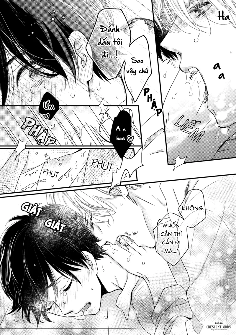 Dịch Vụ Tình Dục Dành Riêng Cho Omega - Chap 5