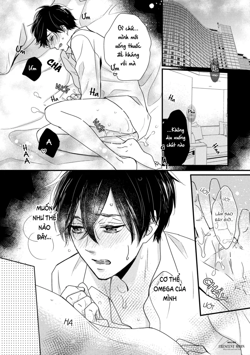 Dịch Vụ Tình Dục Dành Riêng Cho Omega - Chap 5
