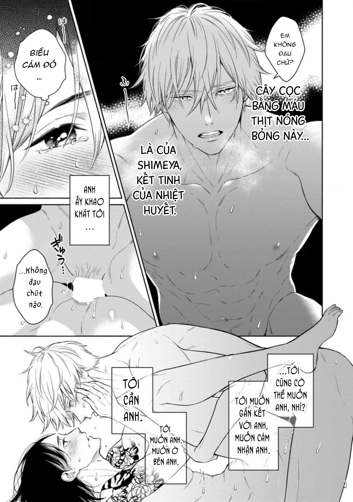 Tora Và Cửa Hàng Shimeya. - Chap 6 - H+ (HẾT)
