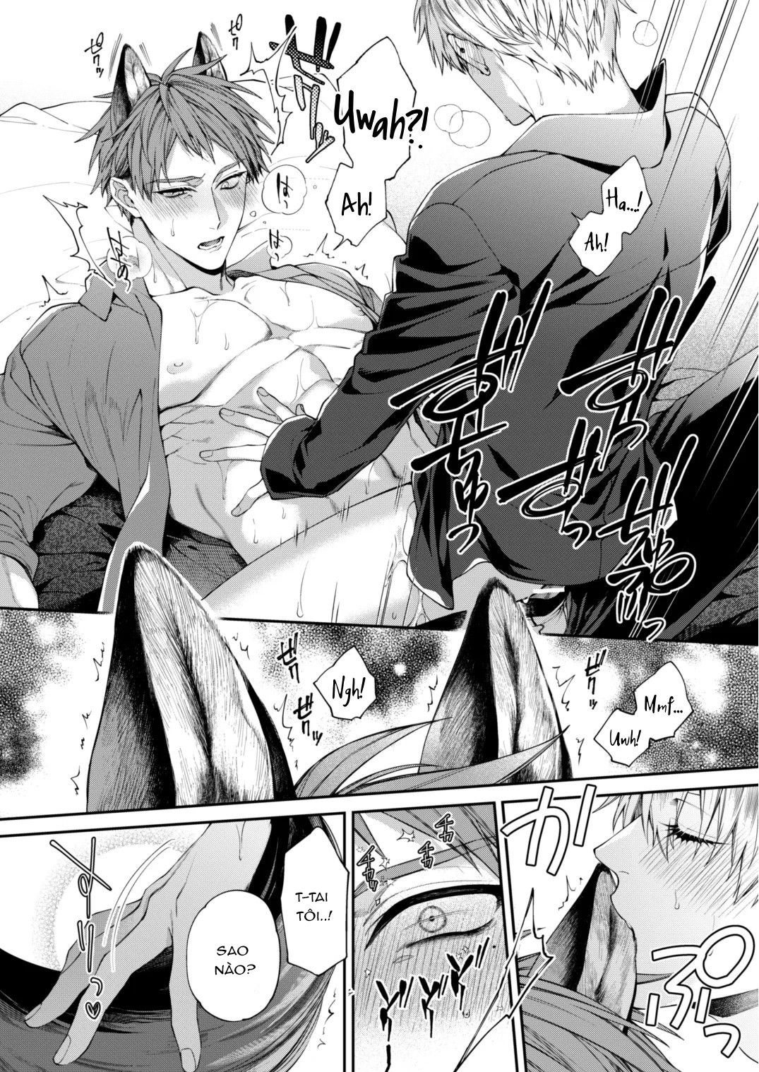 Shitoame Kitty & Pup ~ Người Song Trùng Ở Vũ Trụ Song Song Đột Nhiên Mọc Tai - Chap 1 - Onehshot