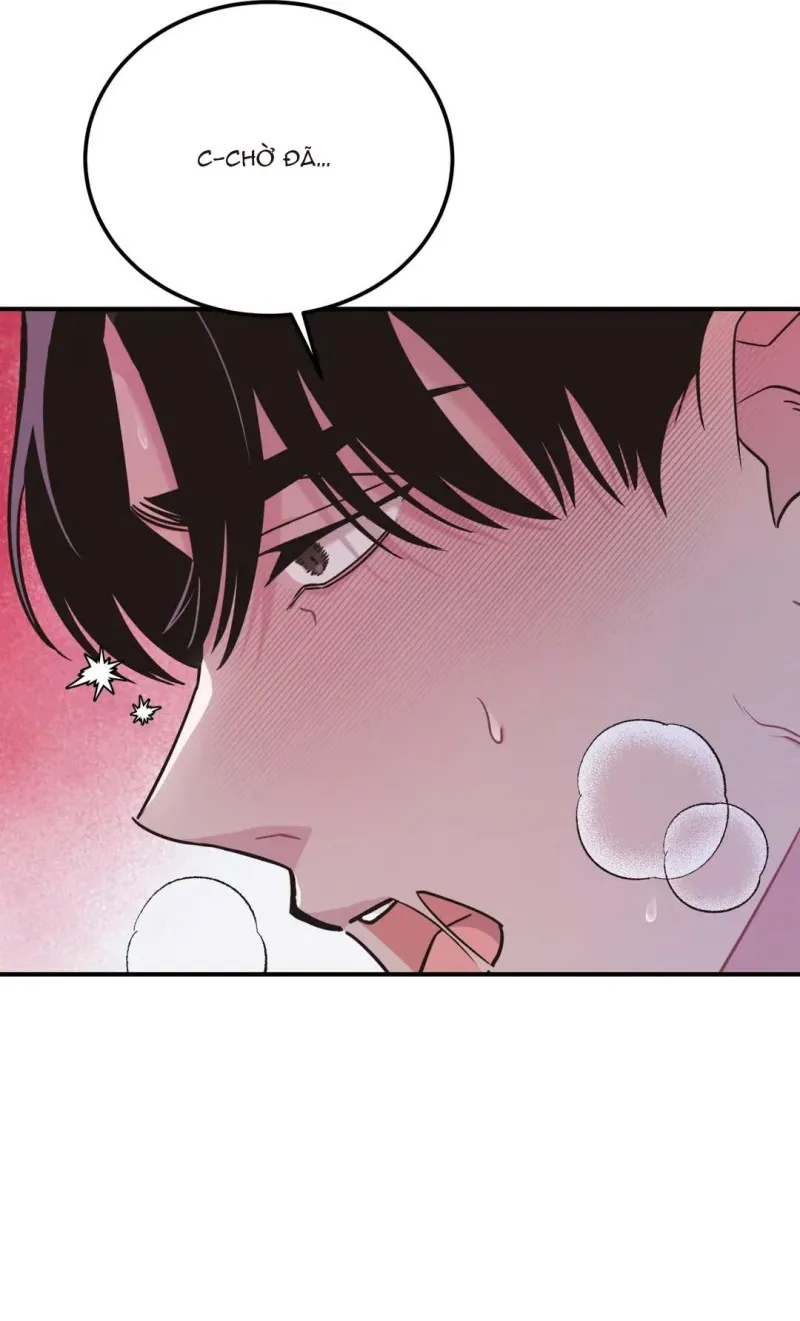 Thằng Em Của Zombie Giống Cây Bibibic - Chap 3 - END