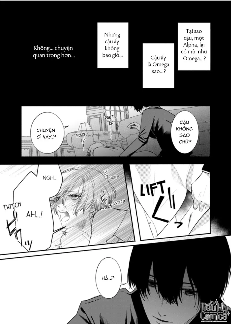Tình Yêu Méo Mó Dành Cho Omega Đáng Thương - Chap 2