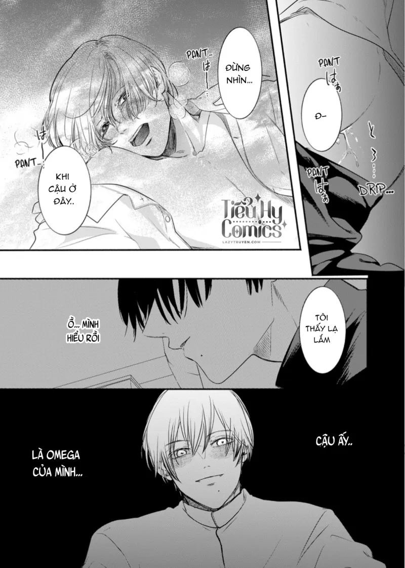 Tình Yêu Méo Mó Dành Cho Omega Đáng Thương - Chap 2