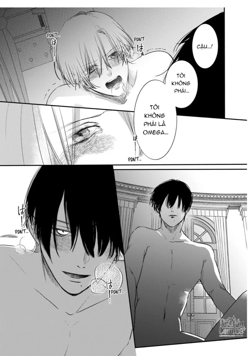 Tình Yêu Méo Mó Dành Cho Omega Đáng Thương - Chap 3