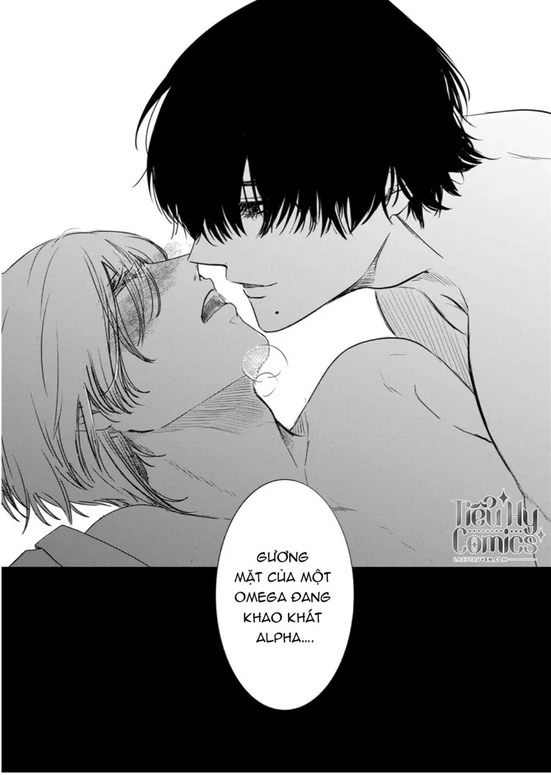 Tình Yêu Méo Mó Dành Cho Omega Đáng Thương - Chap 3