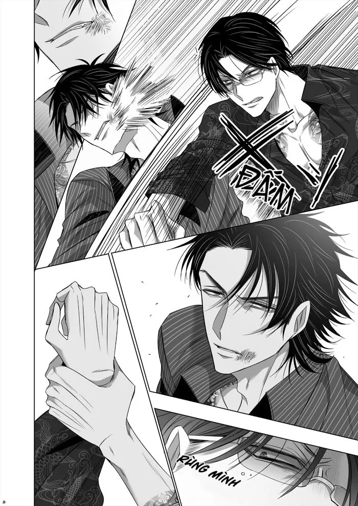 Ánh Mắt Chim Cốc, Ánh Mắt Diều Hâu - Chap 1 - oneshot