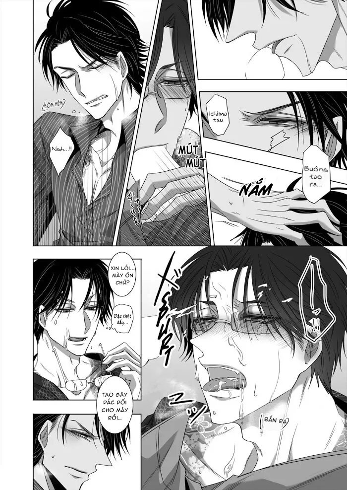 Ánh Mắt Chim Cốc, Ánh Mắt Diều Hâu - Chap 1 - oneshot