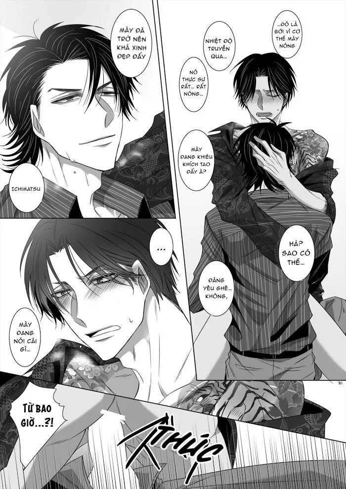 Ánh Mắt Chim Cốc, Ánh Mắt Diều Hâu - Chap 1 - oneshot