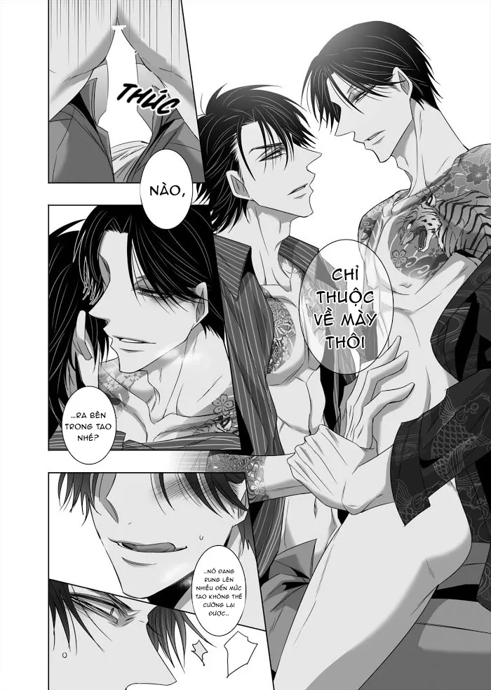 Ánh Mắt Chim Cốc, Ánh Mắt Diều Hâu - Chap 1 - oneshot