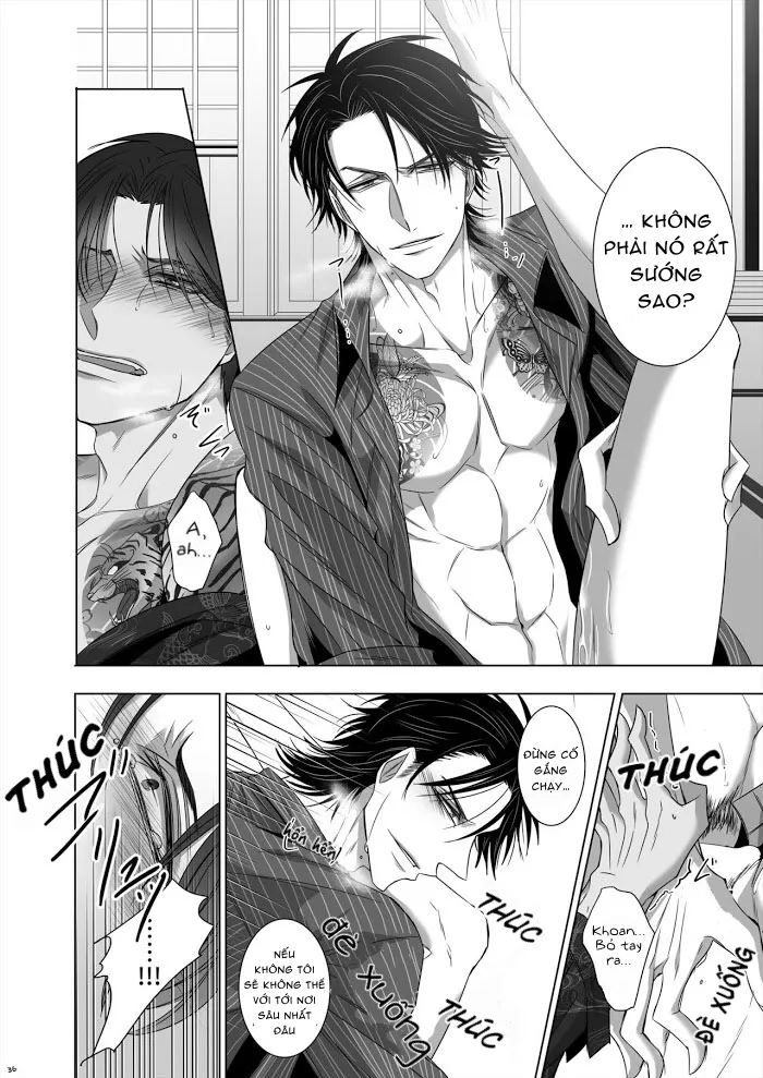 Ánh Mắt Chim Cốc, Ánh Mắt Diều Hâu - Chap 1 - oneshot