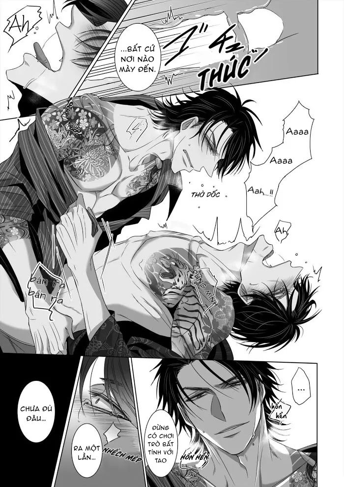 Ánh Mắt Chim Cốc, Ánh Mắt Diều Hâu - Chap 1 - oneshot