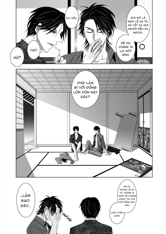 Ánh Mắt Chim Cốc, Ánh Mắt Diều Hâu - Chap 1 - oneshot