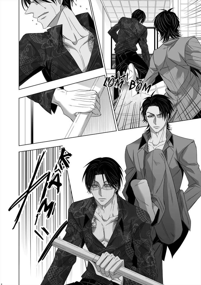 Ánh Mắt Chim Cốc, Ánh Mắt Diều Hâu - Chap 1 - oneshot