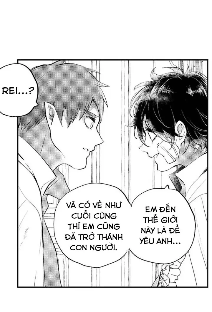 Tiếng Gọi Của Tình Yêu Sau Trải Nghiệm Cận Tử - Chap 41