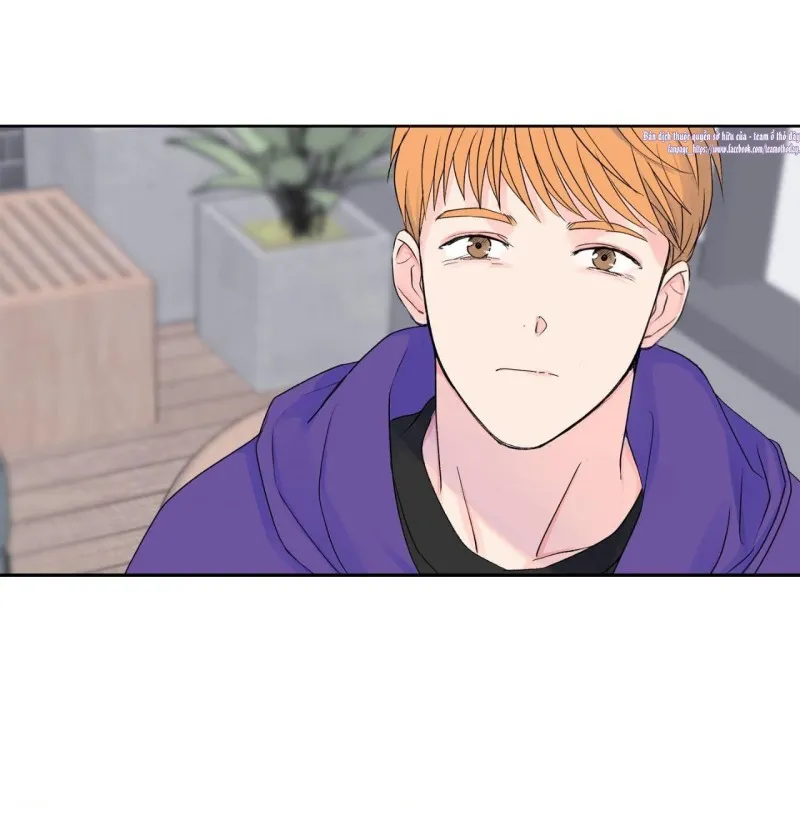 Chủ Nghĩa Hiện Thực - Chap 5