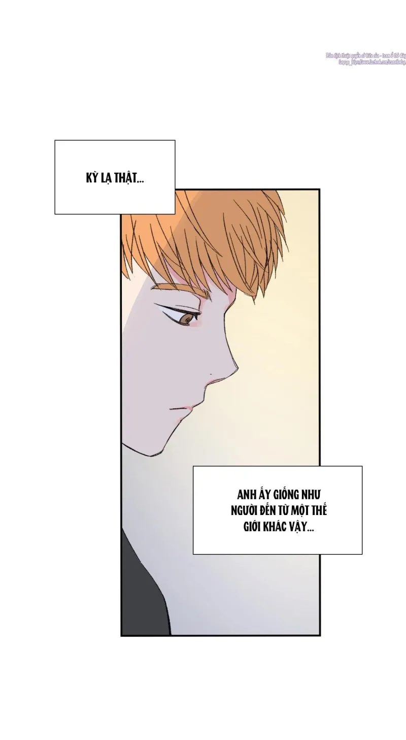 Chủ Nghĩa Hiện Thực - Chap 4