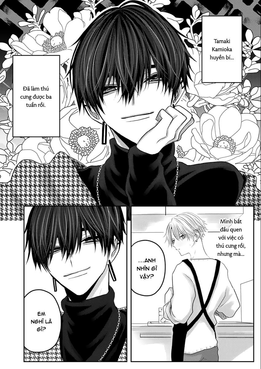 Nếu Tôi Trêu Thì Đánh Tôi Đi - Chap 4