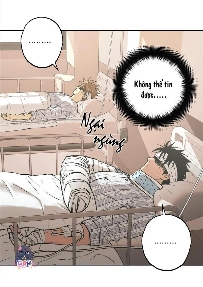 Quyết Định Sống Chết - Chap 6 ( END )