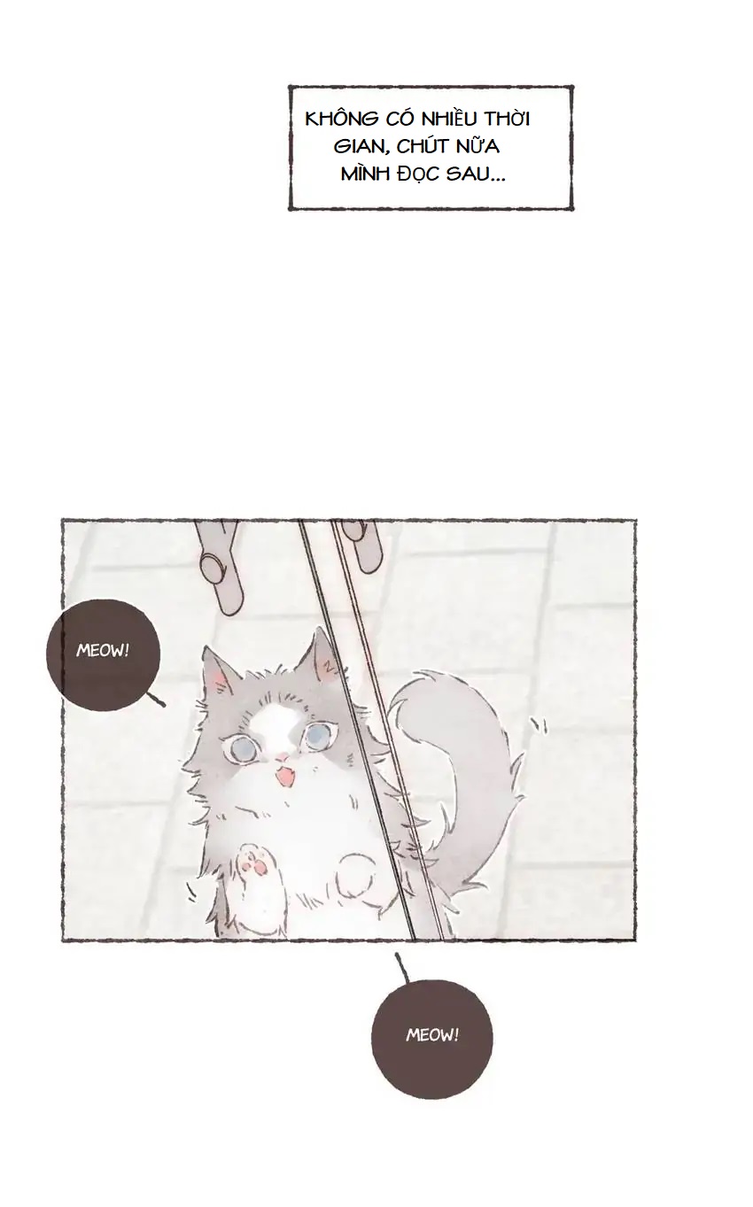 Dấu Khắc Nơi Chân Mày - Chap 16 - Tôi không muốn làm cậu buồn