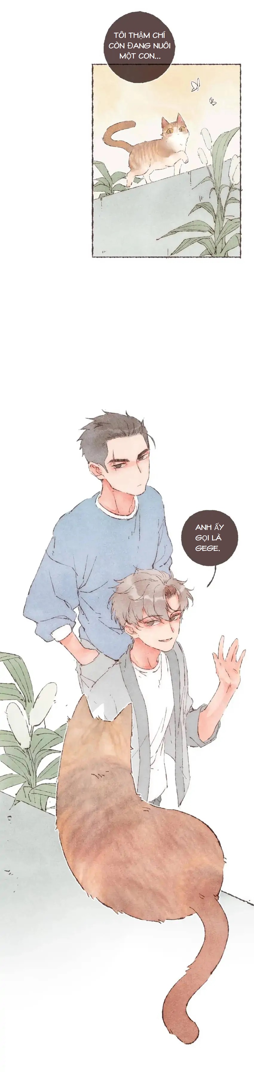 Dấu Khắc Nơi Chân Mày - Chap 18 - Kế hoạch của Nan Jue