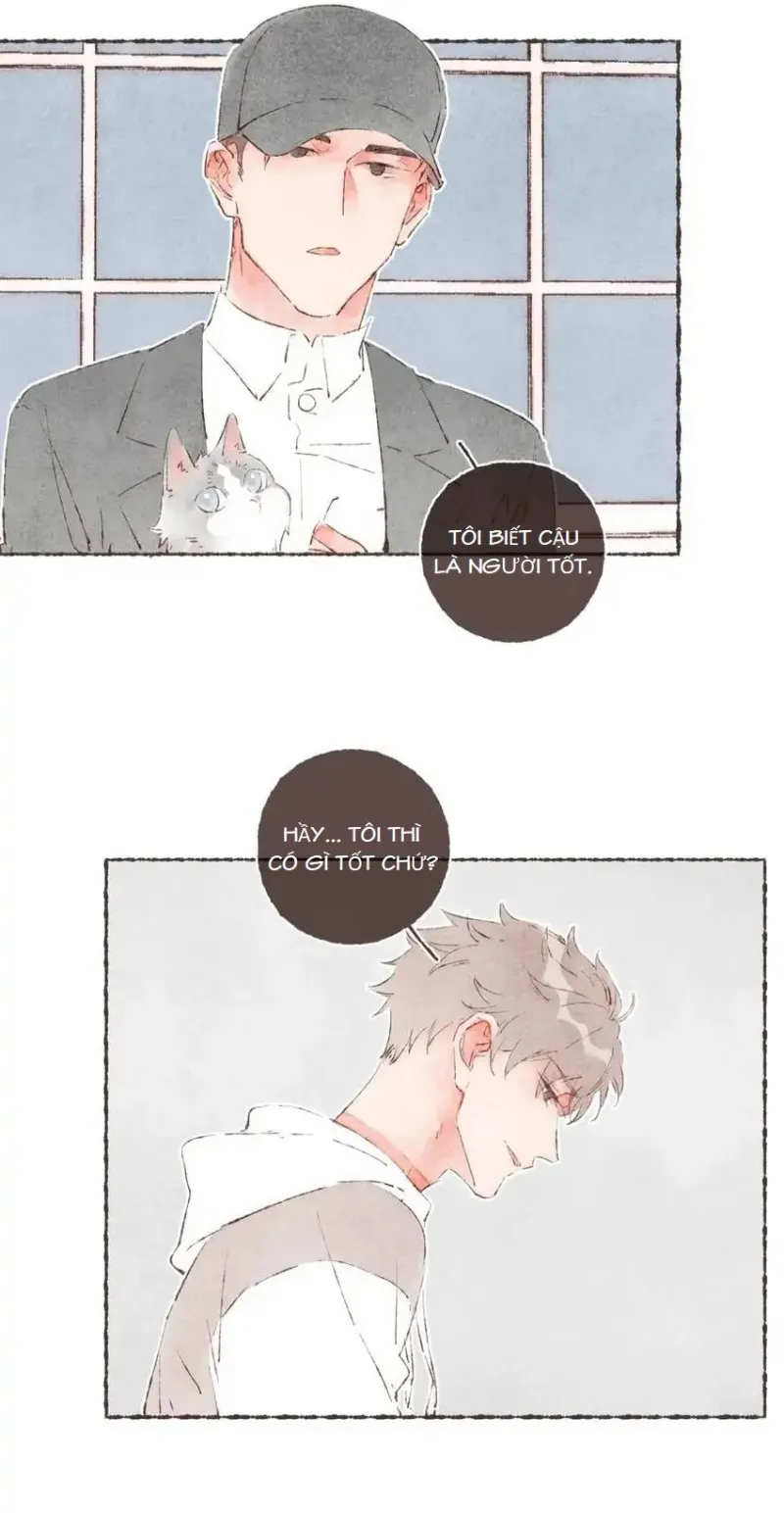 Dấu Khắc Nơi Chân Mày - Chap 40 - Ý nghĩa của đóa hồng vàng (Hoàn)