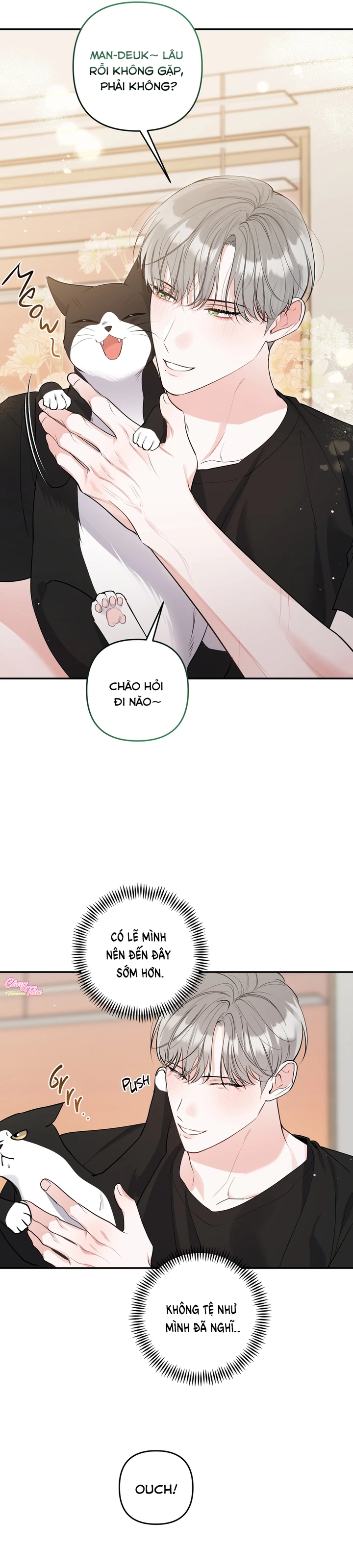 Không Phải Con Mèo Đó, Mà Là Con Mèo Này Này! - Chap 2