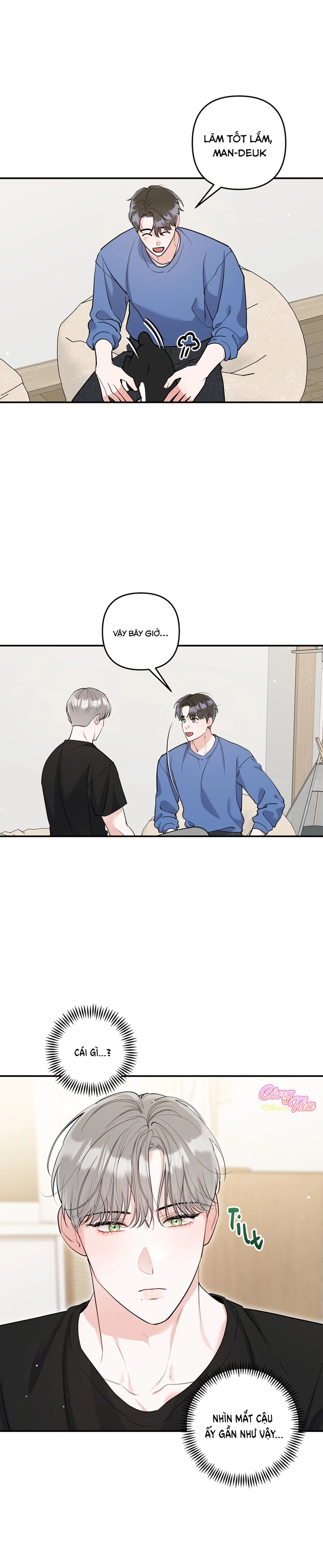 Không Phải Con Mèo Đó, Mà Là Con Mèo Này Này! - Chap 2