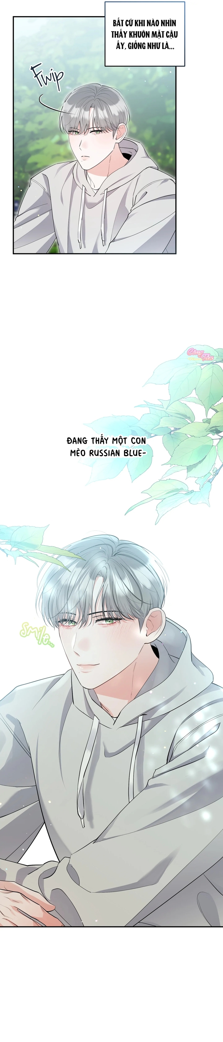 Không Phải Con Mèo Đó, Mà Là Con Mèo Này Này! - Chap 2