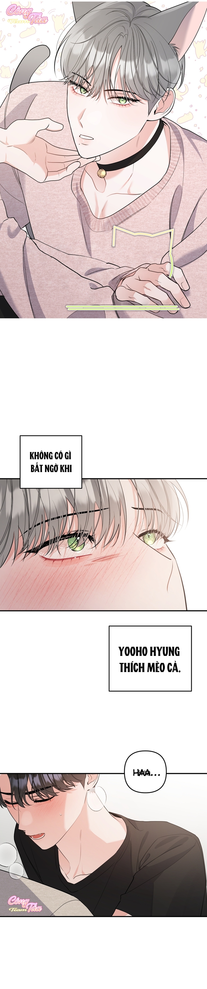 Không Phải Con Mèo Đó, Mà Là Con Mèo Này Này! - Chap 4