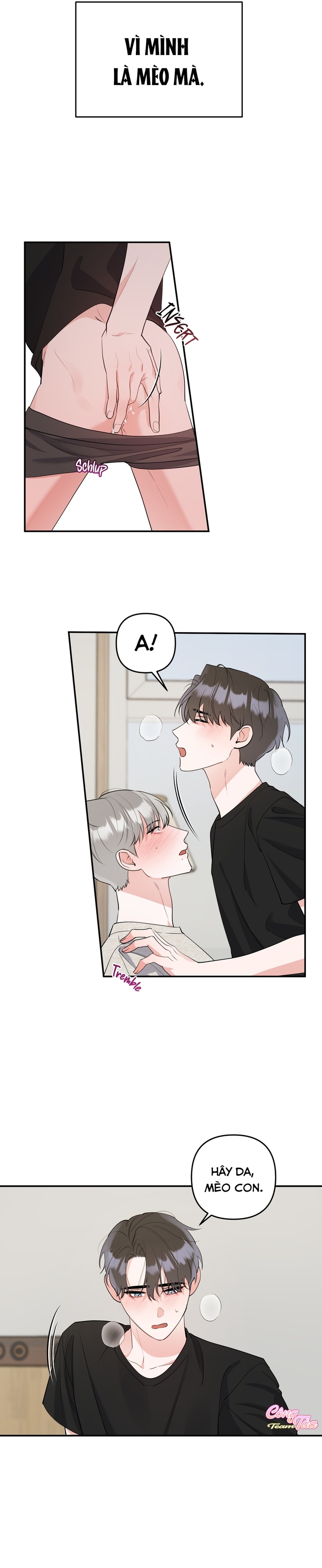 Không Phải Con Mèo Đó, Mà Là Con Mèo Này Này! - Chap 4