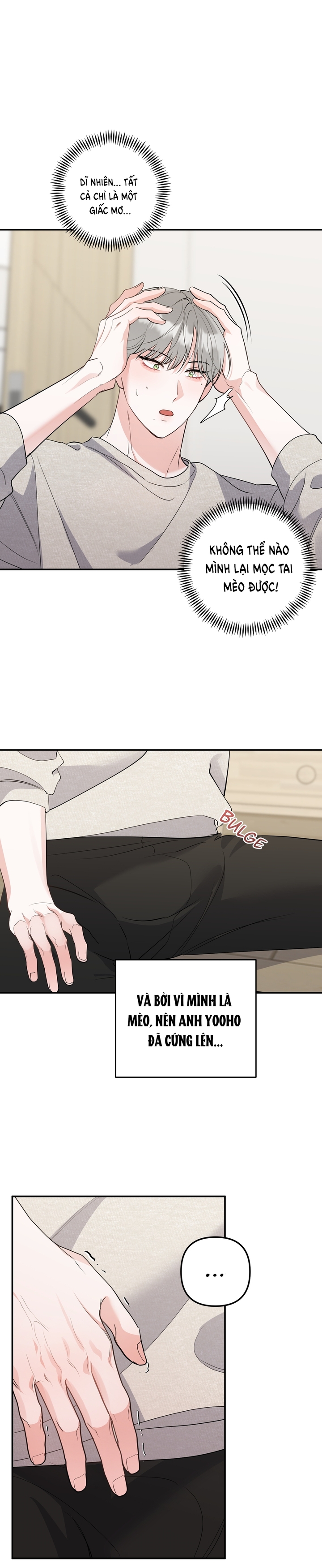 Không Phải Con Mèo Đó, Mà Là Con Mèo Này Này! - Chap 4