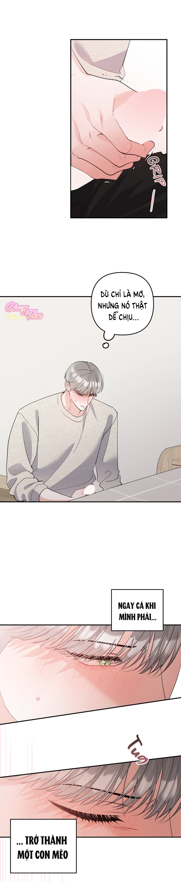 Không Phải Con Mèo Đó, Mà Là Con Mèo Này Này! - Chap 4