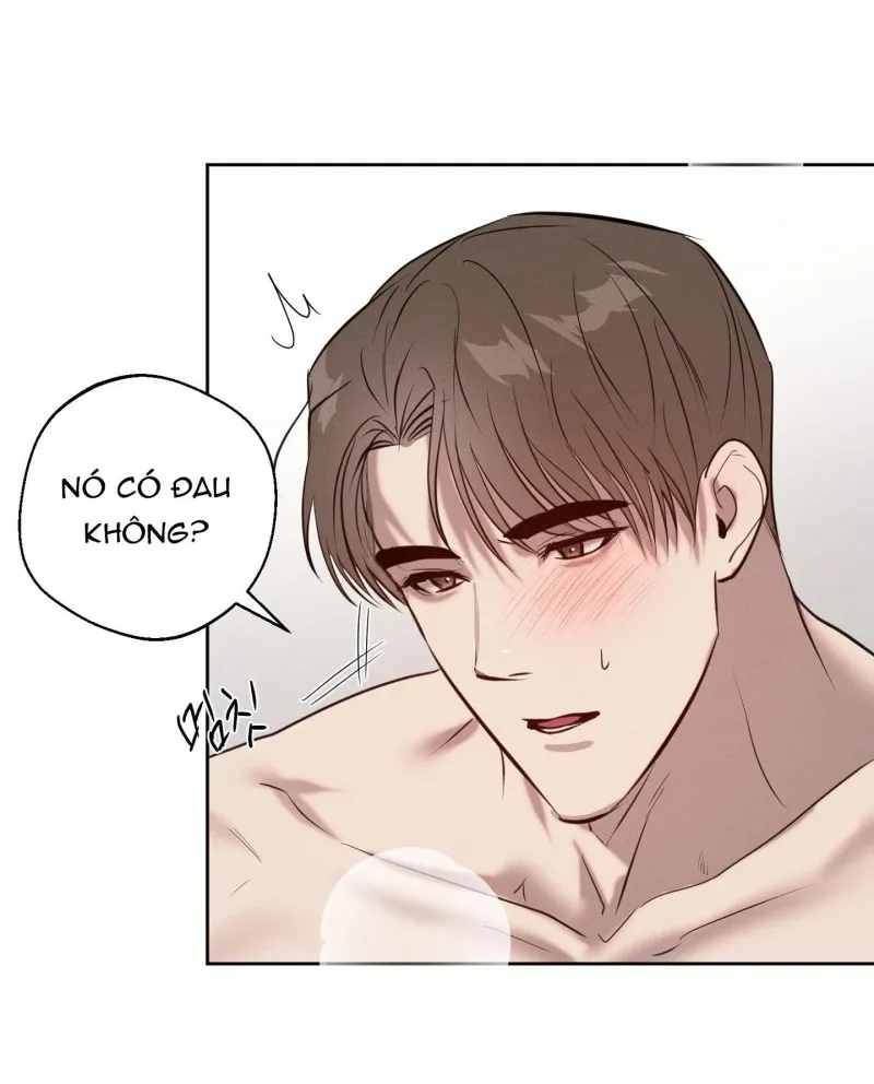 Nghịch Lý Của Sự Dịu Dàng - Chap 5 - H+ (End)